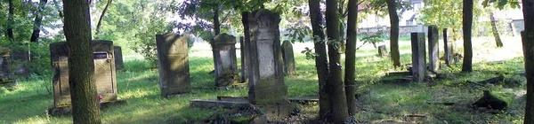 Cmentarz żydowski w Zduńskiej Woli