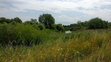 Rezerwat Jeziorsko
