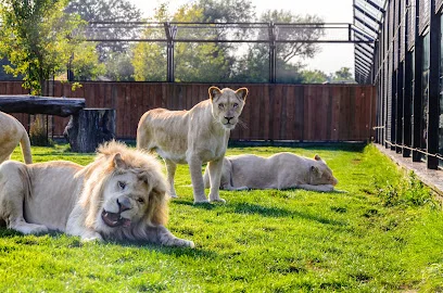 Zoosafari Borysew